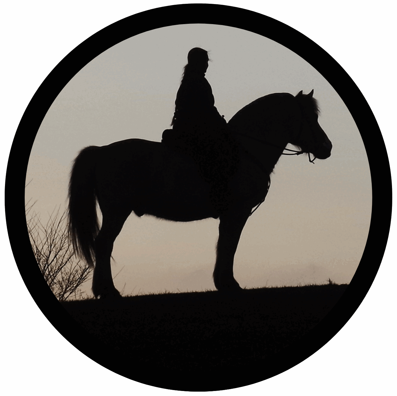 Silhouette einer Person, die auf einem Pferd sitzt, vor einem sanft beleuchteten Abendhimmel